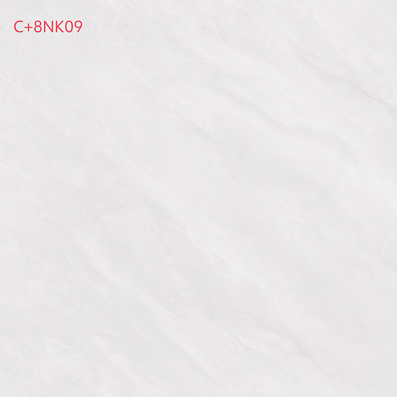 C+8NK09